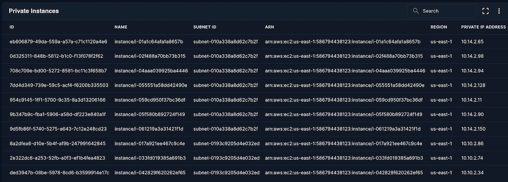Private Instances